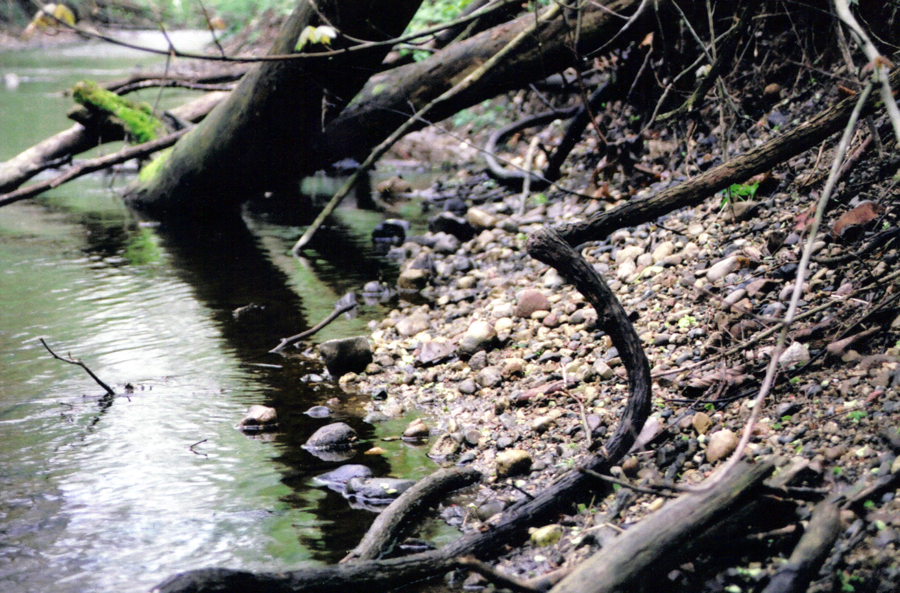 A pebbly creek in Claypool, Indiana
